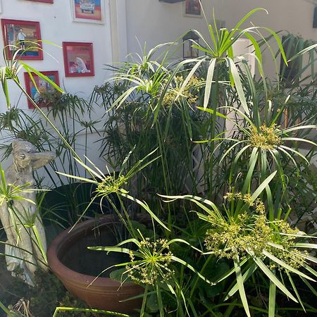 Silver Linings Guesthouse Parys Bagian luar foto